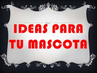 IDEAS PARA
TU MASCOTA

 