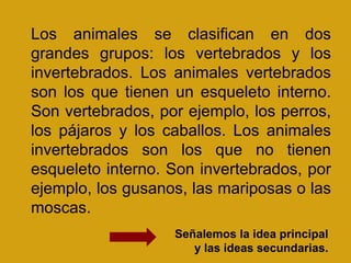Los animales se clasifican en dos
grandes grupos: los vertebrados y los
invertebrados. Los animales vertebrados
son los que tienen un esqueleto interno.
Son vertebrados, por ejemplo, los perros,
los pájaros y los caballos. Los animales
invertebrados son los que no tienen
esqueleto interno. Son invertebrados, por
ejemplo, los gusanos, las mariposas o las
moscas.
Señalemos la idea principal
y las ideas secundarias.
 