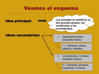 Veamos el esquema
Idea principal:
Ideas secundarias:
Los animales se clasifican en
dos grandes grupos: los
vertebrados y los
invertebrados.
1. Vertebrados tienen
esqueleto interno.
1.1. Ejemplos: perros,
pájaros y caballos.
2. Invertebrados: no tienen
esqueleto interno.
2.1. Ejemplos: gusanos,
mariposas o moscas.
 