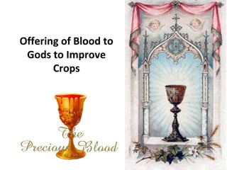 Offering of Blood to
Gods to Improve
Crops
 