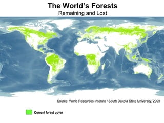 Current forest cover
Source: World Resources Institute / South Dakota State University, 2009
The World’s Forests
Remaining and Lost
 