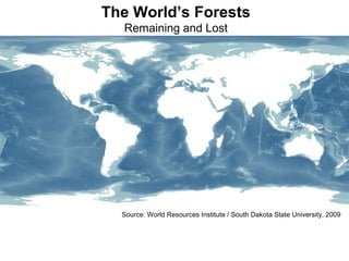 Source: World Resources Institute / South Dakota State University, 2009
The World’s Forests
Remaining and Lost
 