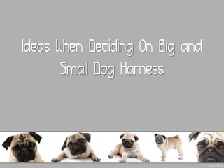 Ideas When Deciding On Big and
       Small Dog Harness
 