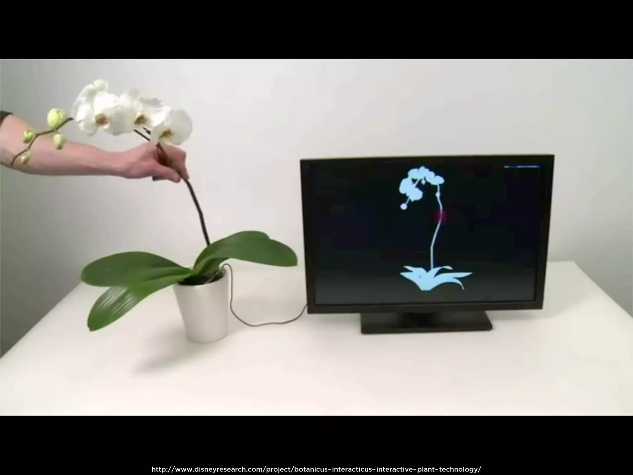 http://www.disneyresearch.com/project/botanicus-interacticus-interactive-plant-technology/
 