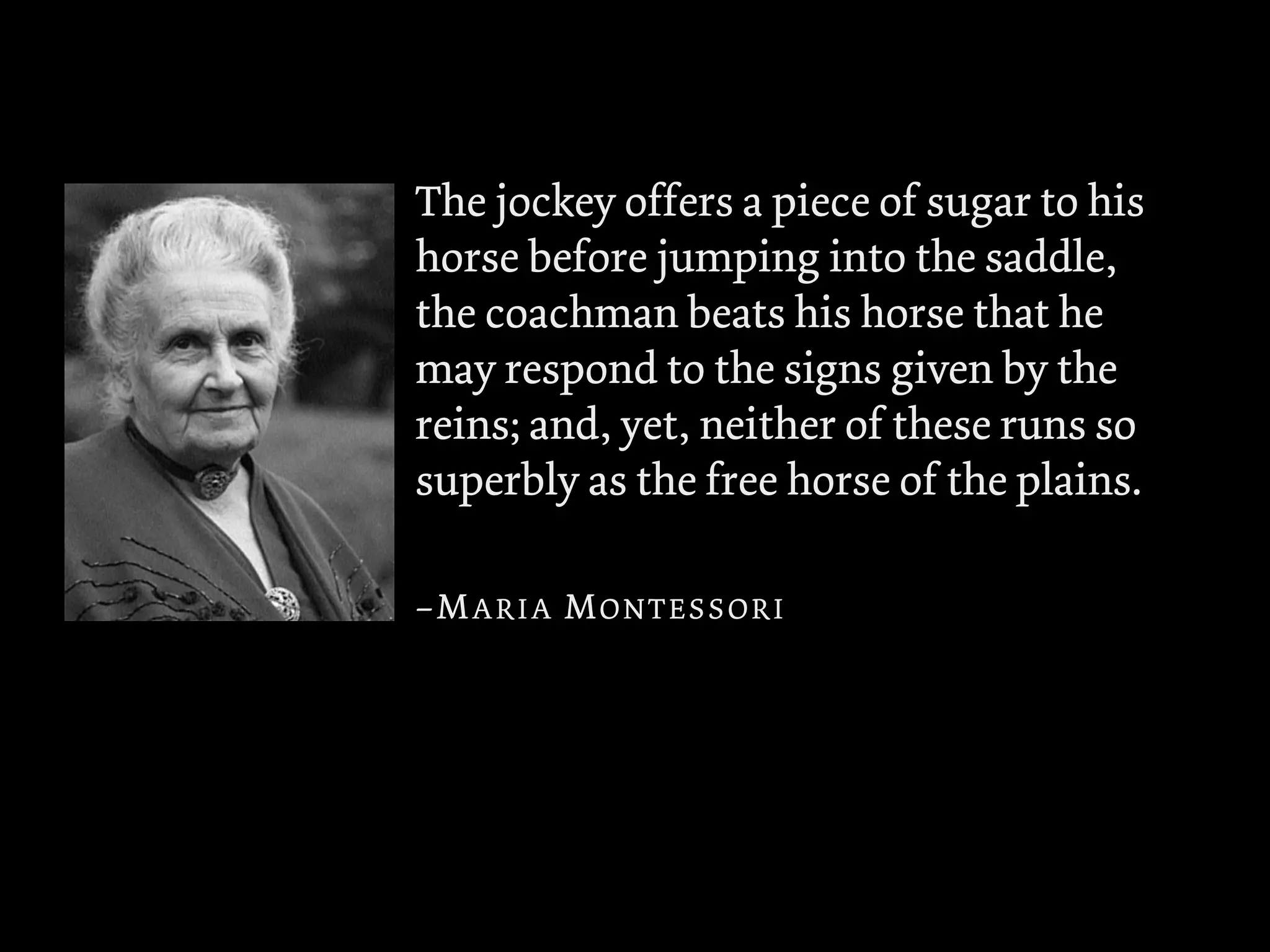 The jockey offers a piece of sugar to his
horse before jumping into the saddle,
the coachman beats his horse that he
may respond to the signs given by the
reins; and, yet, neither of these runs so
superbly as the free horse of the plains.

–MARIA MONTESSORI
 