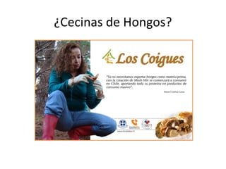 ¿Cecinas de Hongos?
 