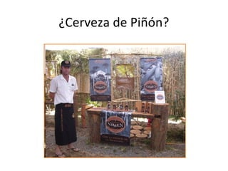 ¿Cerveza de Piñón?
 