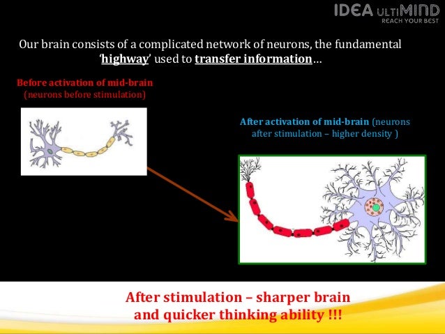 Sharperbrain program management software