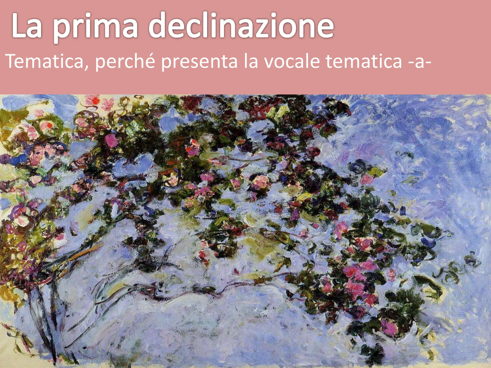 esercizi latino prima e seconda declinazione pdf