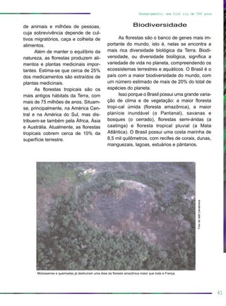 de animais e milhões de pessoas,
cuja sobrevivência depende de cul-
tivos migratórios, caça e colheita de
alimentos.
Além de manter o equilíbrio da
natureza, as florestas produzem ali-
mentos e plantas medicinais impor-
tantes. Estima-se que cerca de 25%
dos medicamentos são extraídos de
plantas medicinais.
As florestas tropicais são os
mais antigos hábitats da Terra, com
mais de 75 milhões de anos. Situam-
se, principalmente, na América Cen-
tral e na América do Sul, mas dis-
tribuem-se também pela África, Ásia
e Austrália. Atualmente, as florestas
tropicais cobrem cerca de 10% da
superfície terrestre.
Biodiversidade
As florestas são o banco de genes mais im-
portante do mundo, isto é, nelas se encontra a
mais rica diversidade biológica da Terra. Biodi-
versidade, ou diversidade biológica, significa a
variedade de vida no planeta, compreendendo os
ecossistemas terrestres e aquáticos. O Brasil é o
país com a maior biodiversidade do mundo, com
um número estimado de mais de 20% do total de
espécies do planeta.
Isso porque o Brasil possui uma grande varia-
ção de clima e de vegetação: a maior floresta
tropi-cal úmida (floresta amazônica), a maior
planície inundável (o Pantanal), savanas e
bosques (o cerrado), florestas semi-áridas (a
caatinga) e floresta tropical pluvial (a Mata
Atlântica). O Brasil possui uma costa marinha de
8,5 mil quilômetros, com recifes de corais, dunas,
manguezais, lagoas, estuários e pântanos.
41
Desmatamento: uma hist ria de 500 anos
FotodeIatãCanabrava
Motosserras e queimadas já destruíram uma área da floresta amazônica maior que toda a França.
 
