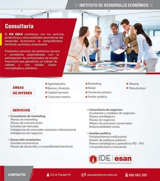 Consultoría IDE ESAN