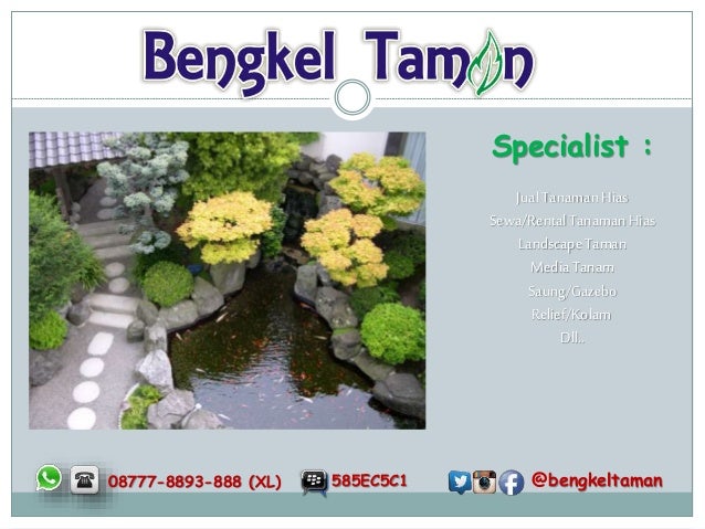 08777 8893 888 Xl Tanaman Hias Air Kolam Ikan Hias Kolam Ikan Min