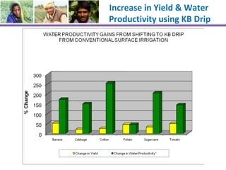 Increase in Yield & Water  Productivity using KB Drip  