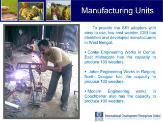 Manufacturing Units
    To provide the SRI adopters with
easy to use, low cost weeder, IDEI has
identified and developed manufacturers
in West Bengal.

 Contai Engineering Works in Contai,
East Midnapore has the capacity to
produce 100 weeders.

 Jaber Engineering Works in Raiganj,
North Dinajpur has the capacity to
produce 100 weeders.

 Modern   Engineering  works    in
Coochbehar also has the capacity to
produce 100 weeders.
 