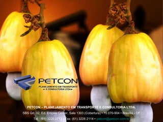 PETCON – PLANEJAMENTO EM TRANSPORTE E CONSULTORIA LTDA.
SBS Qd. 02, Ed. Empire Center, Sala 1303 (Cobertura) • 70.070-904 • Brasília - DF
       Tel.: (61) 3225 2713 • Fax: (61) 3226 2114 • petcon@petcon.com.br
 