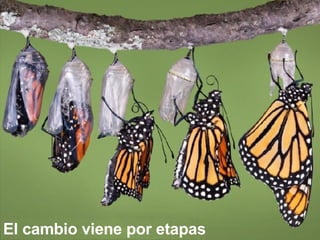 El cambio viene por etapas 