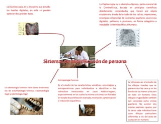 La Dactiloscopia, es la disciplina que estudia
las huellas digitales, en esta se pueden
apreciar dos grandes tipos.
La Papiloscopía es la disciplina técnica, parte esencial de
la Criminalística, basada en principios científicos
debidamente comprobados que tienen por objeto
establecer a través del estudio de los calcos, impresiones,
estampas o improntas de las crestas papilares, sean estas
digitales, palmares o plantares, en forma categórica e
indudable la Identidad Física Humana.
La odontología forense tiene como sinónimos
los de estomatología forense, estomatología
legal y odontología legal.
Antropología Forense.
Es el estudio de las características somáticas, osteológicas y
antropométricas para individualizar e identificar a los
individuos involucrados en casos médico-legales,
especialmente en los cuales la víctima o víctimas son halladas
enestadode putrefacciónavanzada,mutilación,carbonización
o reducción esquelética.
La lofoscopia es el estudio de
los dibujos lineales que se
presenta en las caras y en los
bordes de las manos y los pies
de todo ser humano. Estos
dibujosorugosidadestambién
son conocidos como crestas
papilares. No existen dos
crestas papilares iguales, por
lo tanto cada individuo tiene
unos dibujos particulares
diferentes a los del resto de
cualquier ser humano.