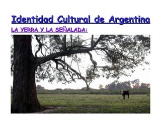 Identidad Cultural de Argentina ,[object Object]