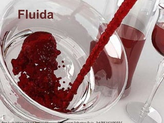 Fluida
 
