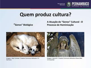 Quem produz cultura?
“Genos” Biológico
A Atuação do “Genos” Cultural - O
Processo de Hominização
Imagem: High Contrast / Creative Commons Attribution 3.0
Germany
Imagem: HeinzLW / Creative Commons Attribution-Share Alike
3.0 Unported
 