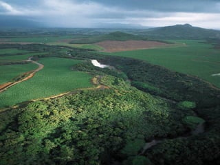 Aula 43 - Identidade
