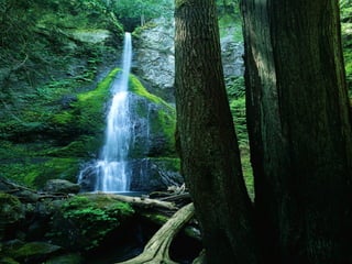 Aula 43 - Identidade