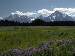 Aula 43 - Identidade