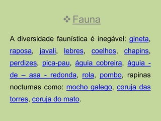  Fauna
A diversidade faunística é inegável: gineta,
raposa, javali, lebres, coelhos, chapins,
perdizes, pica-pau, águia cobreira, águia -
de – asa - redonda, rola, pombo, rapinas
nocturnas como: mocho galego, coruja das
torres, coruja do mato.
 