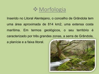  Morfologia
Inserido no Litoral Alentejano, o concelho de Grândola tem
uma área aproximada de 814 km2, uma extensa costa
marítima. Em termos geológicos, o seu território é
caracterizado por três grandes zonas, a serra de Grândola,
a planície e a faixa litoral.
 