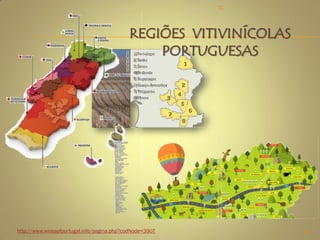 http://www.winesofportugal.info/pagina.php?codNode=3907
REGIÕES VITIVINÍCOLAS
PORTUGUESAS
10
TC
 