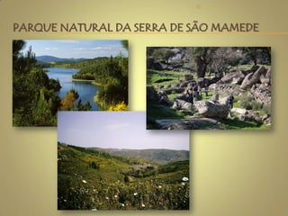 PARQUE NATURAL DA SERRA DE SÃO MAMEDE
12
TC
 