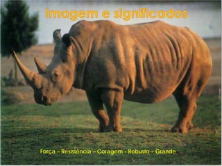 Força – Resistência – Coragem - Robusto – Grande
 