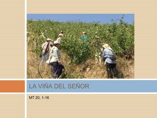 MT 20, 1-16
LA VIÑA DEL SEÑOR
 