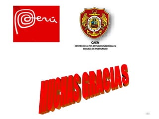 110
CAEN
CENTRO DE ALTOS ESTUDIOS NACIONALES
ESCUELA DE POSTGRADO
 