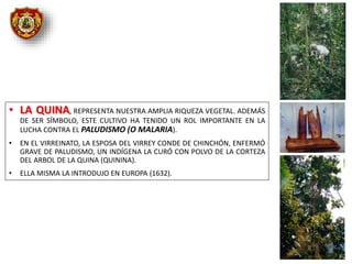 • LA QUINA, REPRESENTA NUESTRA AMPLIA RIQUEZA VEGETAL. ADEMÁS
DE SER SÍMBOLO, ESTE CULTIVO HA TENIDO UN ROL IMPORTANTE EN LA
LUCHA CONTRA EL PALUDISMO (O MALARIA).
• EN EL VIRREINATO, LA ESPOSA DEL VIRREY CONDE DE CHINCHÓN, ENFERMÓ
GRAVE DE PALUDISMO, UN INDÍGENA LA CURÓ CON POLVO DE LA CORTEZA
DEL ARBOL DE LA QUINA (QUININA).
• ELLA MISMA LA INTRODUJO EN EUROPA (1632).
 