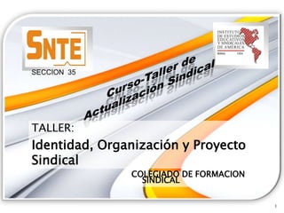 SECCION 35




TALLER:
Identidad, Organización y Proyecto
Sindical
               COLEGIADO DE FORMACION
                 SINDICAL

                                        1
 