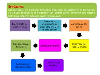 Crecimiento de
cabello y uñas.
Aumenta la
acumulación de
grasa corporal y en
la zona genital.
Aumento de los
senos.
Desarrollo del
pezón y areola.Amplitud de pelvis.
Ablandamiento
de huesos.
Cambios en el
sistema venoso.
Retención de
líquidos.
Estrógenos:
Los estrógenos son hormonas femeninas producidas principalmente en los ovarios.
Su función principal es la maduración del aparato genital femenino para hacerlo
fértil. Los estrógenos producen varios efectos como:
 