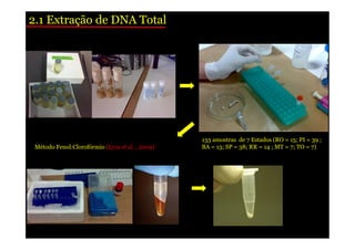 2.1 Extração de DNA Total 
Método Fenol:Clorofórmio (Lyra et al. , 2009) 
133 amostras de 7 Estados (RO = 15; PI = 39 ; 
BA = 13; SP = 38; RR = 14 ; MT = 7; TO = 7) 
 