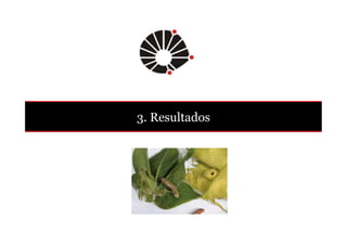 3. Resultados 
 