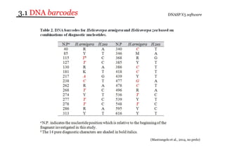 3.1 DNA barcodes DNASP.V5 software 
(Mastrangelo et al., 2014, no prelo) 
 