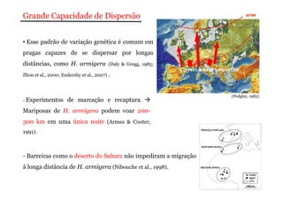 Grande Capacidade de Dispersão 
• Esse padrão de variação genética é comum em 
pragas capazes de se dispersar por longas 
distâncias, como H. armigera (Daly & Gregg, 1985; 
Zhou et al., 2000; Endersby et al., 2007) . 
- Experimentos de marcação e recaptura  
Mariposas de H. armigera podem voar 200- 
300 km em uma única noite (Armes & Cooter, 
1991). 
- Barreiras como o deserto do Sahara não impediram a migração 
à longa distância de H. armigera (Nibouche et al., 1998). 
(Pedgley, 1985) 
 