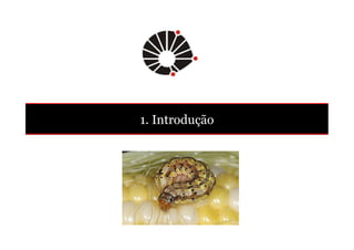 1. Introdução 
 