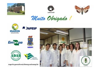 Muito Obrigado ! 
rogerio.goncalves@cbmeg.unicamp.br 
