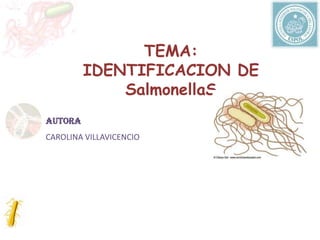 TEMA: IDENTIFICACION DE SalmonellaS AUTORA CAROLINA VILLAVICENCIO 