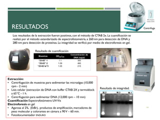 RESULTADOS
14
Los resultados de la extracción fueron positivos, con el método de CTAB 2x. La cuantificación se
realizó por el método estandarizado de espectrofotometría, a 260 nm para detección de DNA y
280 nm para detección de proteínas. La integridad se verificó por medio de electroforesis en gel.
Resultado de cuantificación
Resultado de integridad.
Extracción:
• Centrifugación de muestras para sedimentar las microalgas (10,000
rpm - 2 min)
• Lisis celular (extracción de DNA con buffer CTAB 2X y termoblock
a 65°C - 1 h.
• Centrifugación para sedimentar DNA (12,000 rpm – 10 min)
Cuantificación Espectrofotómetro UV-Vis
Electroforesis en gel
• Agarosa al 2%, (EtBr), productos de amplificación, marcadores de
peso molecular y colorantes en cámara a 90V – 60 min.
• Fotodocumentador ENDURO
Centrifuga
 