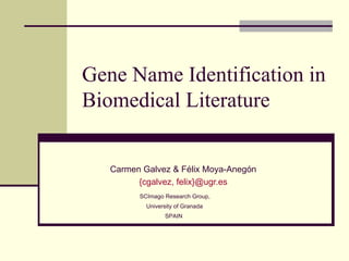 Gene Name Identification in Biomedical Literature Carmen Galvez & Félix Moya-Anegón {cgalvez, felix}@ugr.es SCImago Research Group, University of Granada SPAIN   