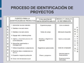 PROCESO DE IDENTIFICACIÓN DE PROYECTOS 