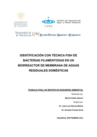 IDENTIFICACIÓN CON TÉCNICA FISH DE
BACTERIAS FILAMENTOSAS EN UN
BIORREACTOR DE MEMBRANA DE AGUAS
RESIDUALES DOMÉSTICAS
TRABAJO FINAL DE MÁSTER EN INGENIERÍA AMBIENTAL
Realizado por:
Marta Lledías Aparici
Dirigido por:
Dr. José Luis Alonso Molina
Dr. Gonzalo Cuesta Amat
VALENCIA, SEPTIEMBRE 2013
 