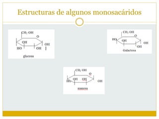 Estructuras de algunos monosacáridos
 