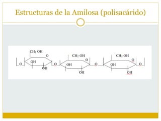 Estructuras de la Amilosa (polisacárido)
 